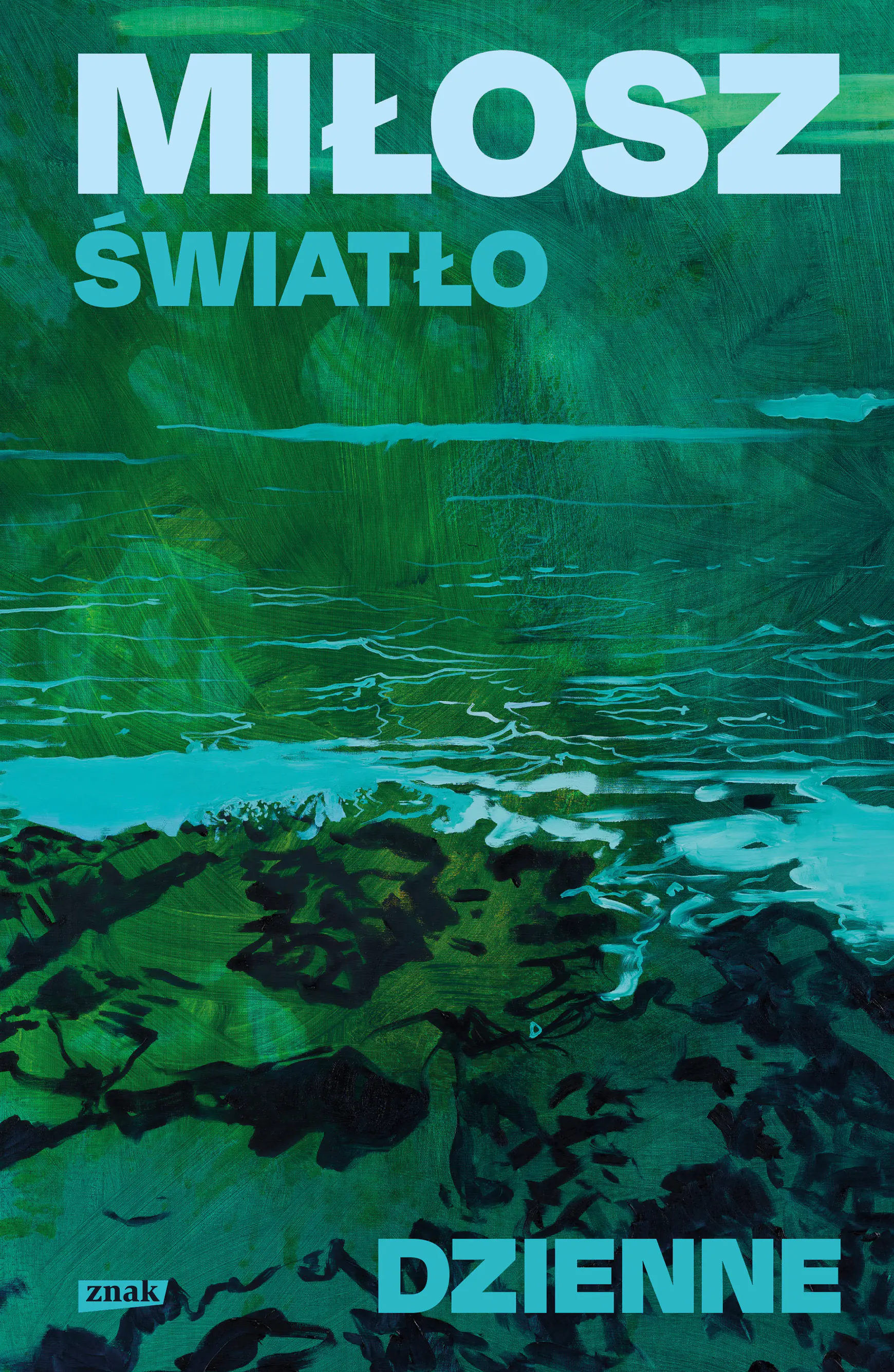 Książka - Światło dzienne