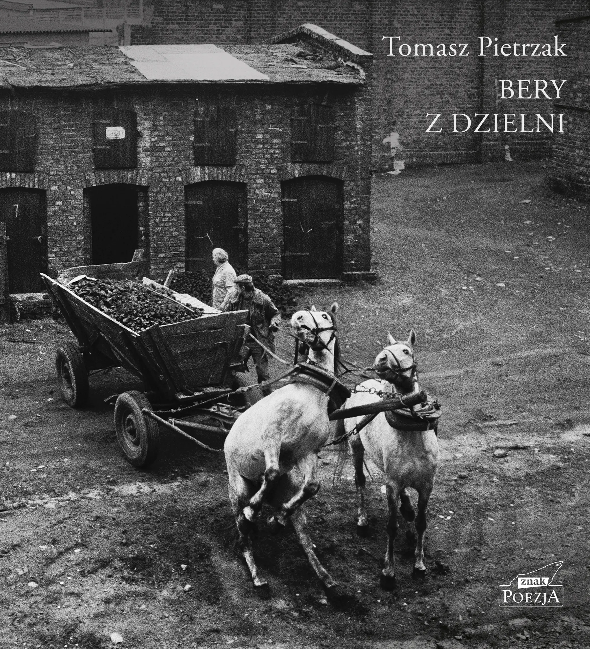 Książka - Bery z dzielni