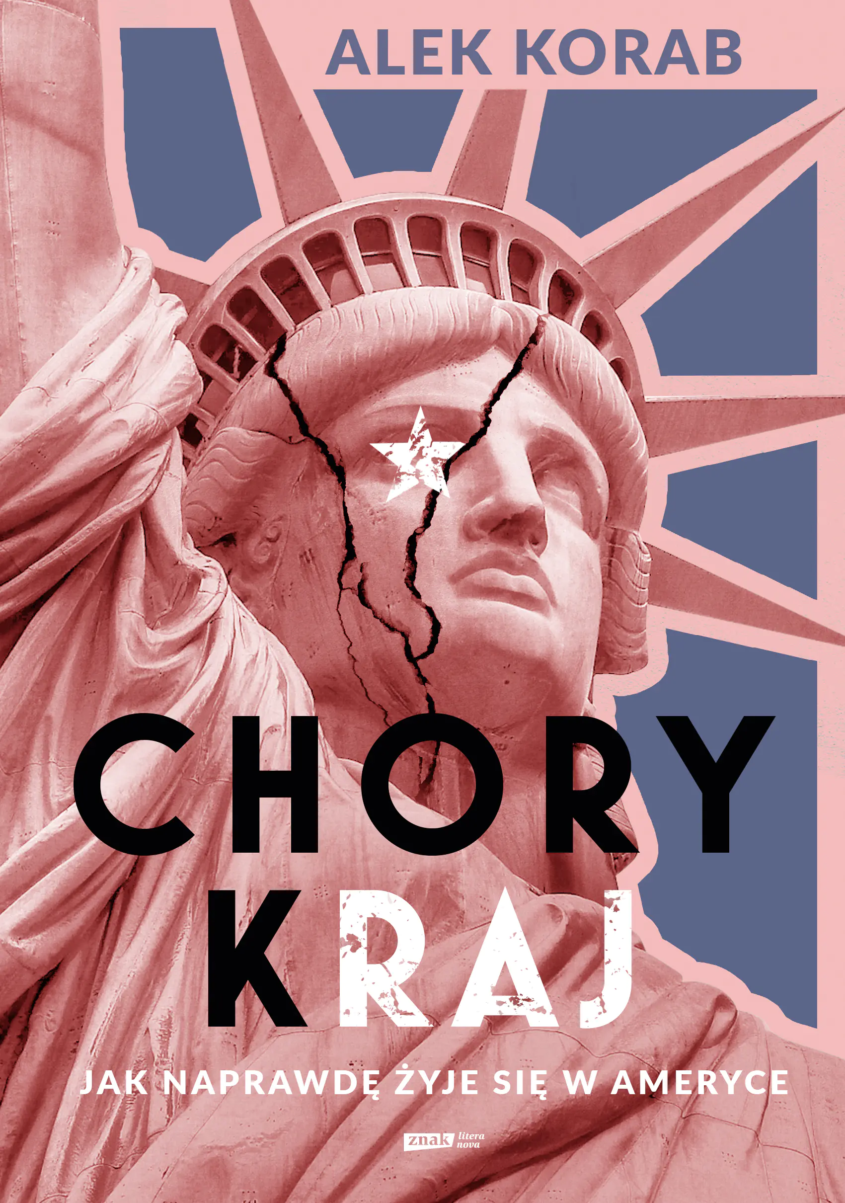 Książka - Chory (k)raj. Jak naprawdę żyje się w Ameryce