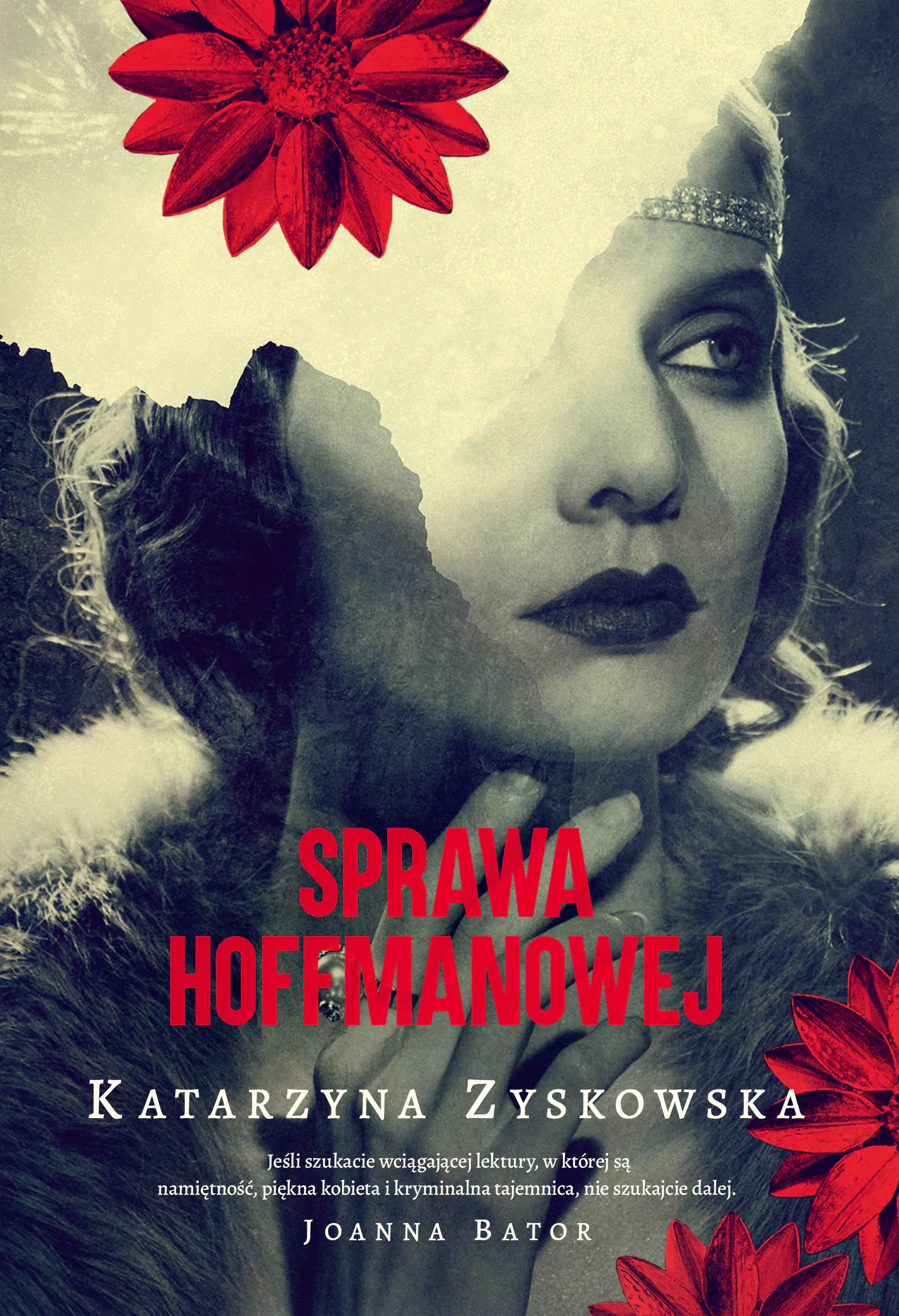 Książka - Sprawa Hoffmanowej