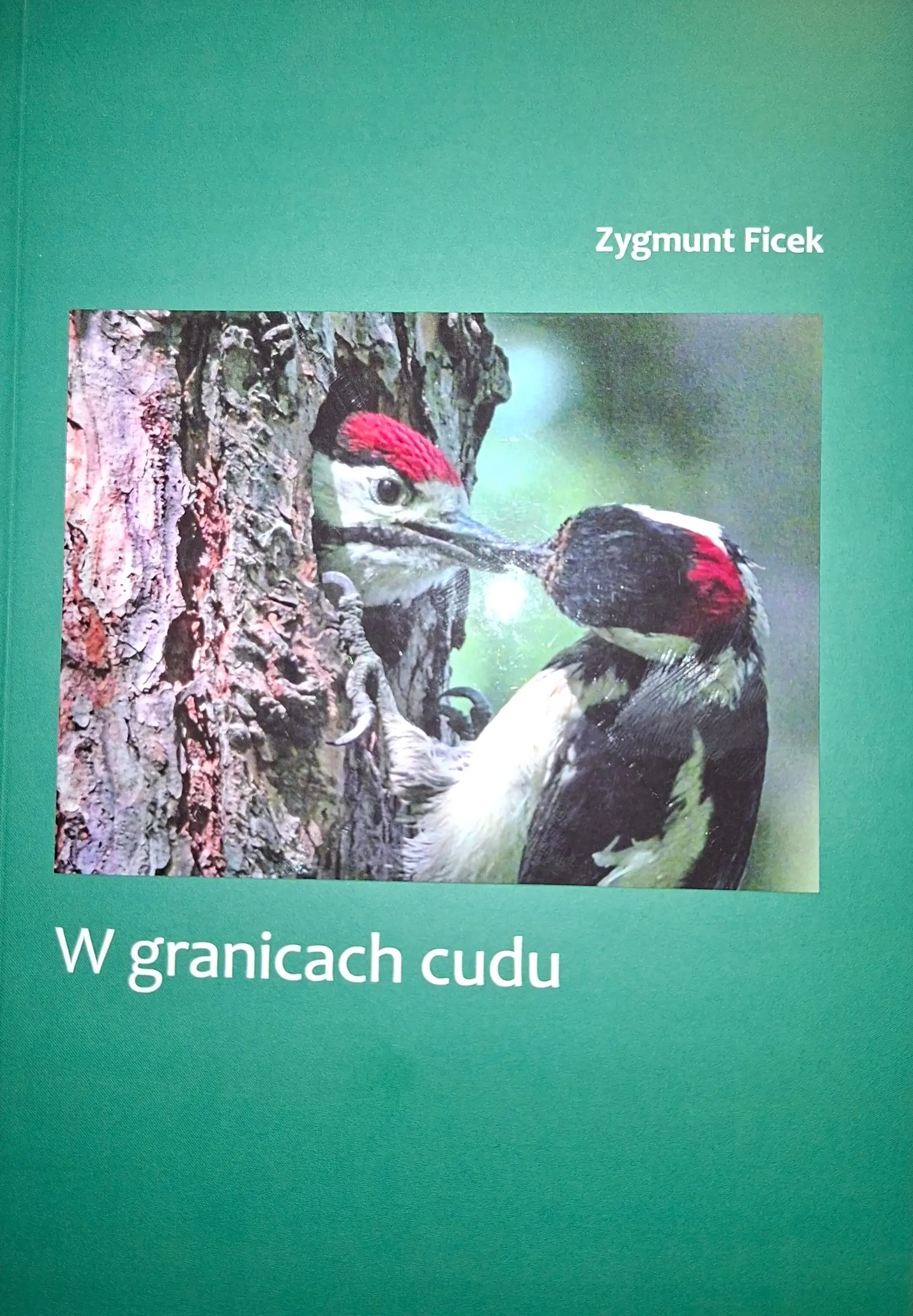 Książka - W granicach cudu