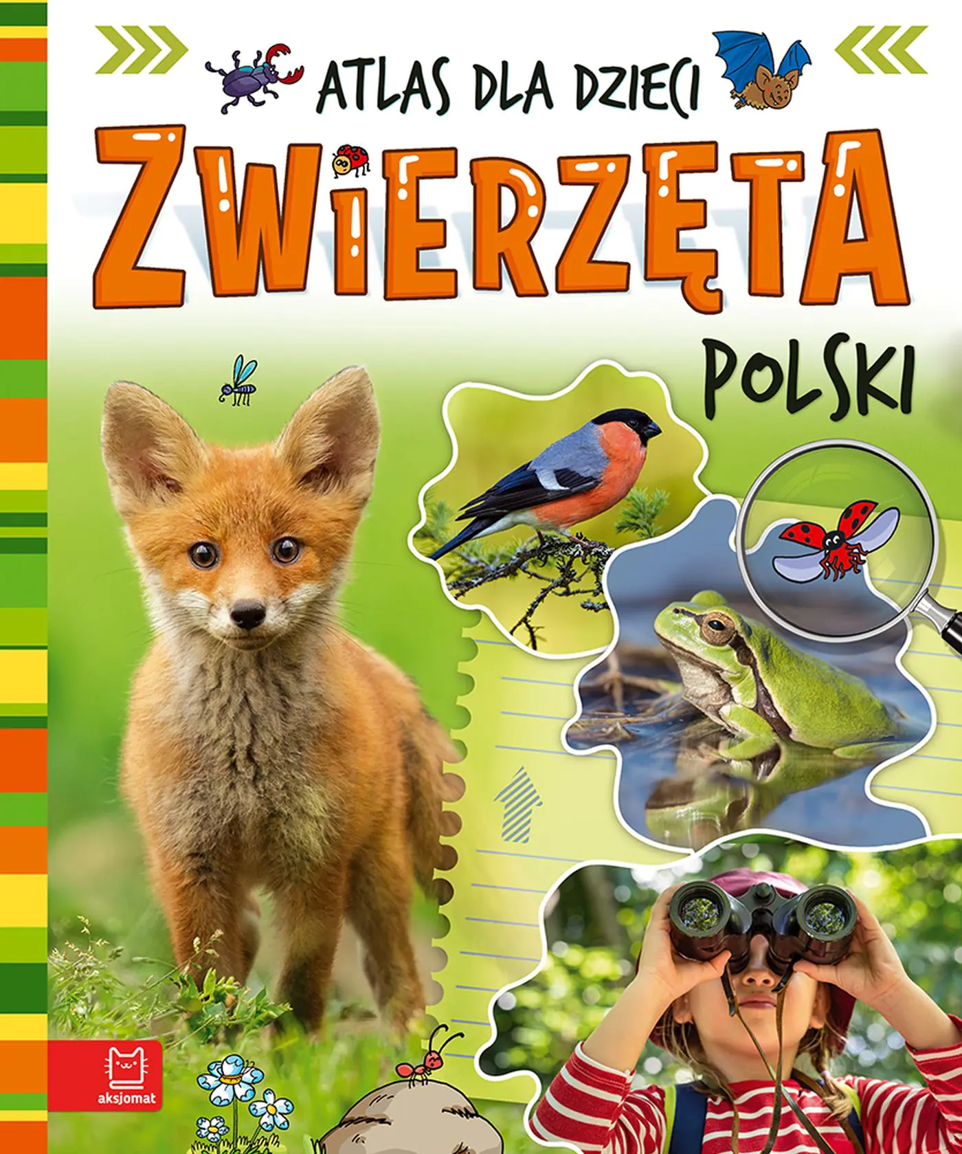 Książka - Zwierzęta Polski Atlas dla dzieci