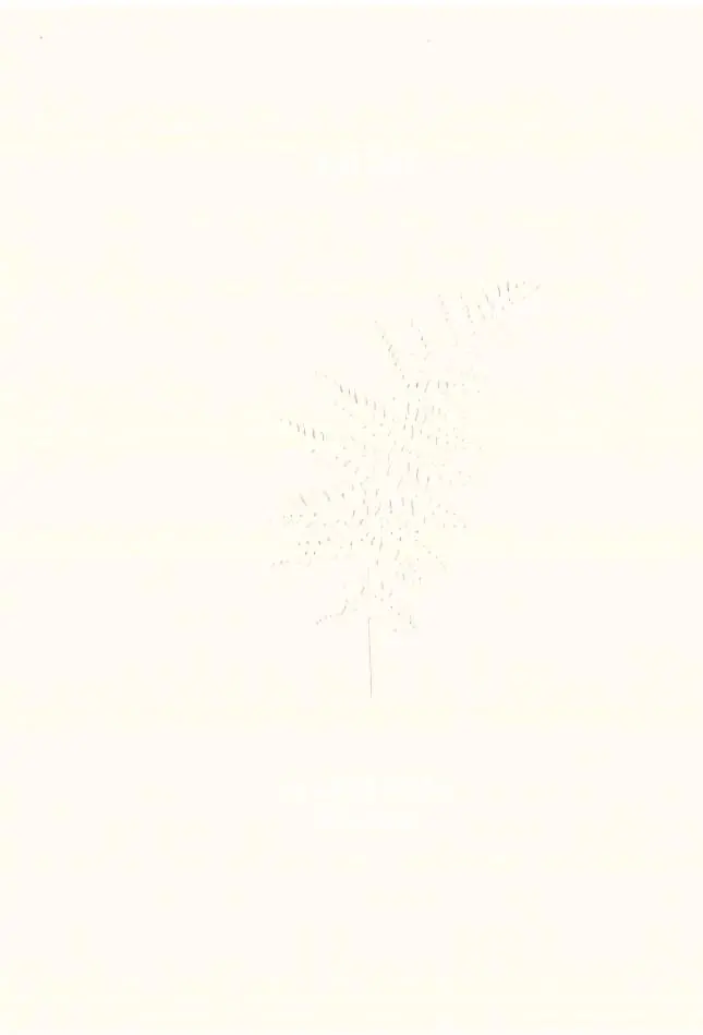 Książka - Kalcyt