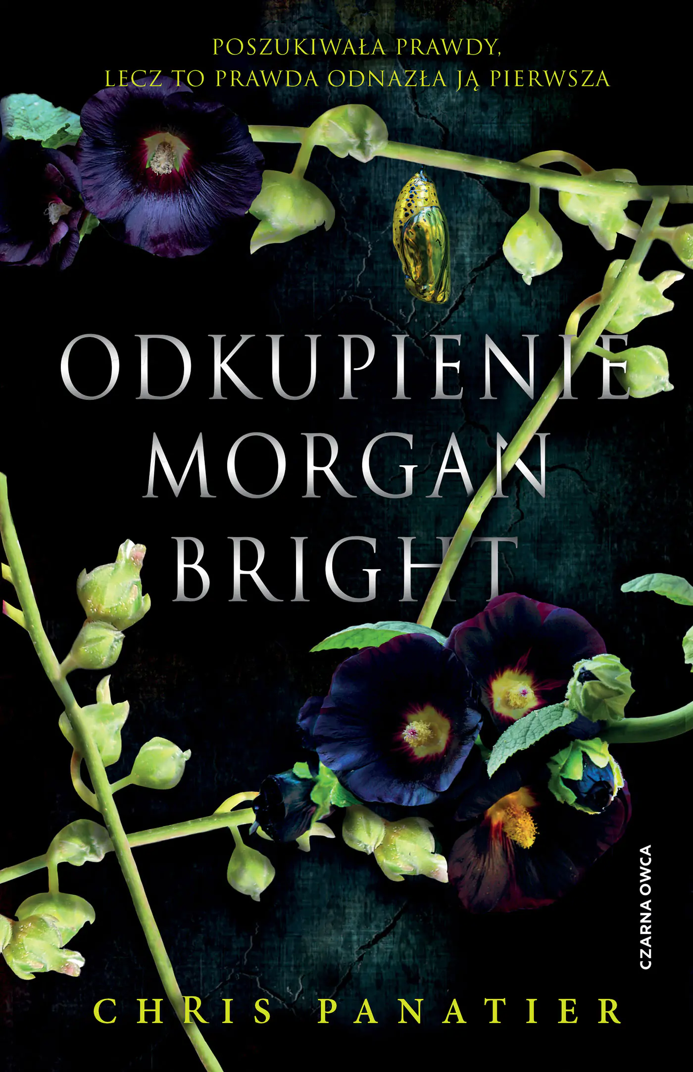 Książka - Odkupienie Morgan Bright