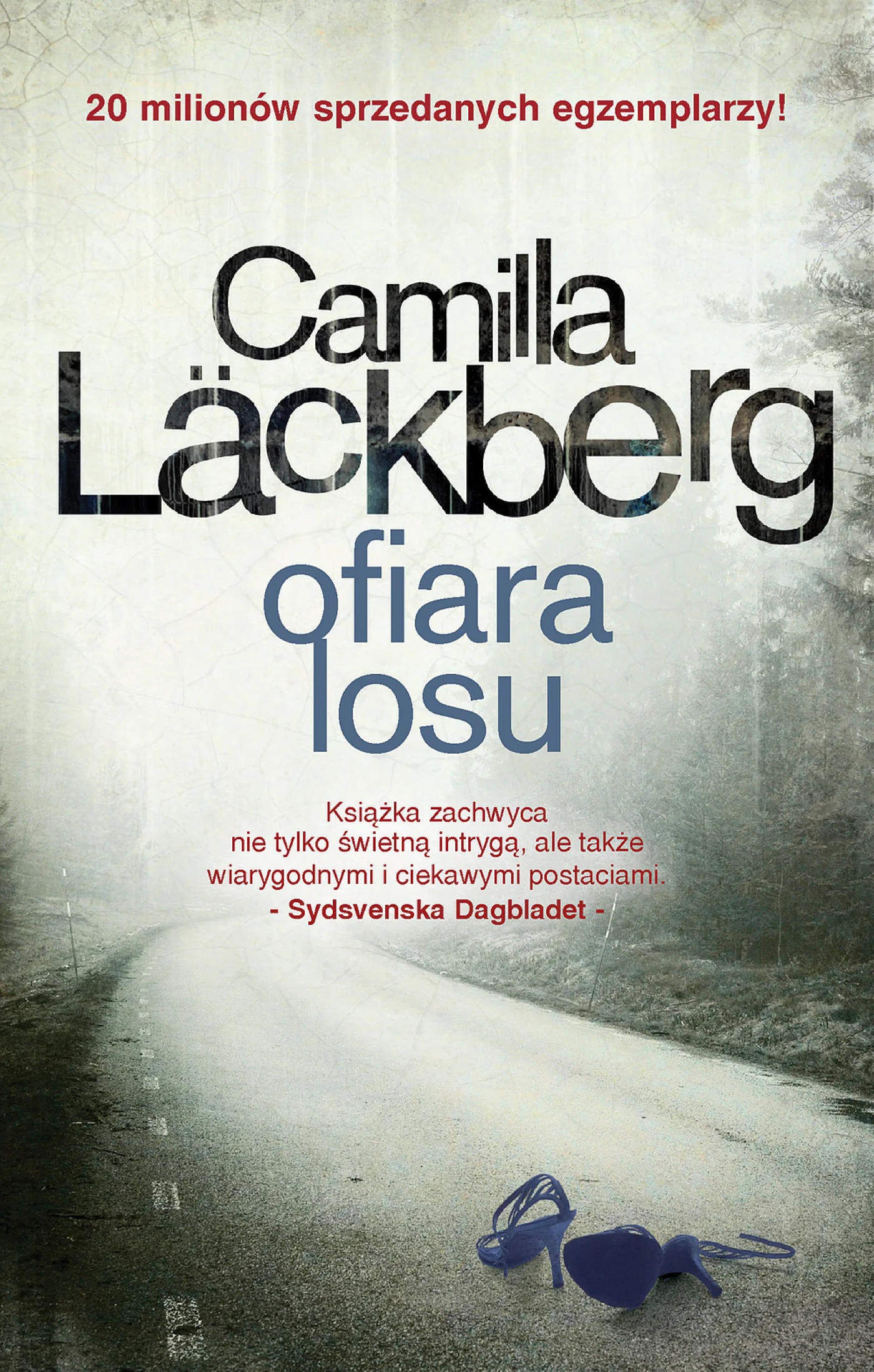 Książka - Ofiara losu. Saga kryminalna Fjällbacka. Tom 4
