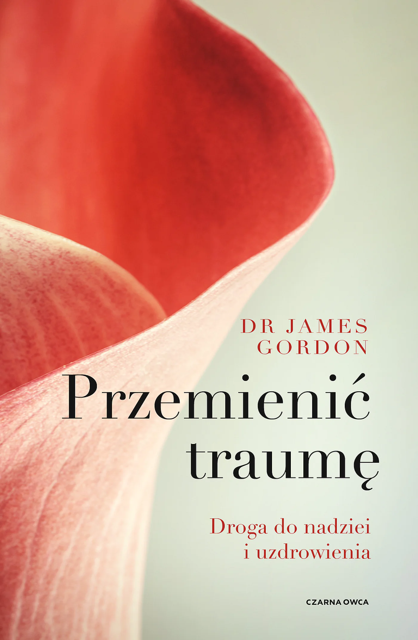 Książka - Przemienić traumę
