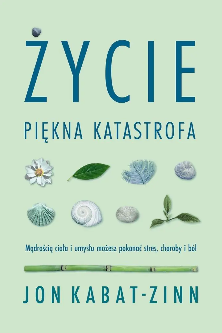 Książka - Życie, piękna katastrofa