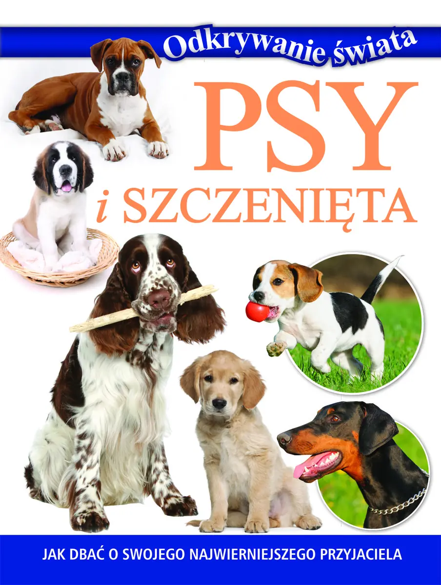 Książka - Odkrywanie świata. Psy i szczenięta