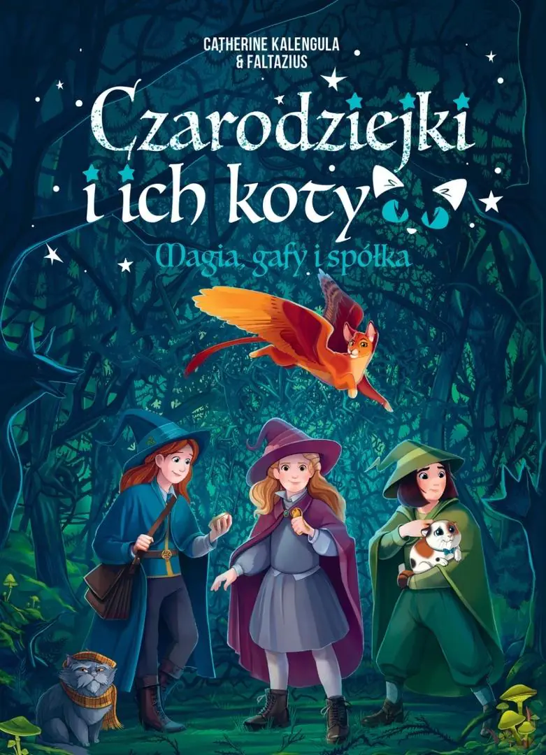 Książka - Czarodziejki i ich koty. Magia, gafy i spółka