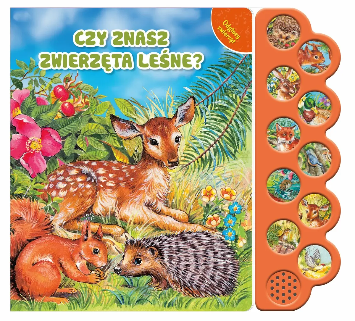 Książka - Czy znasz zwierzęta leśne?. Odgłosy zwierząt