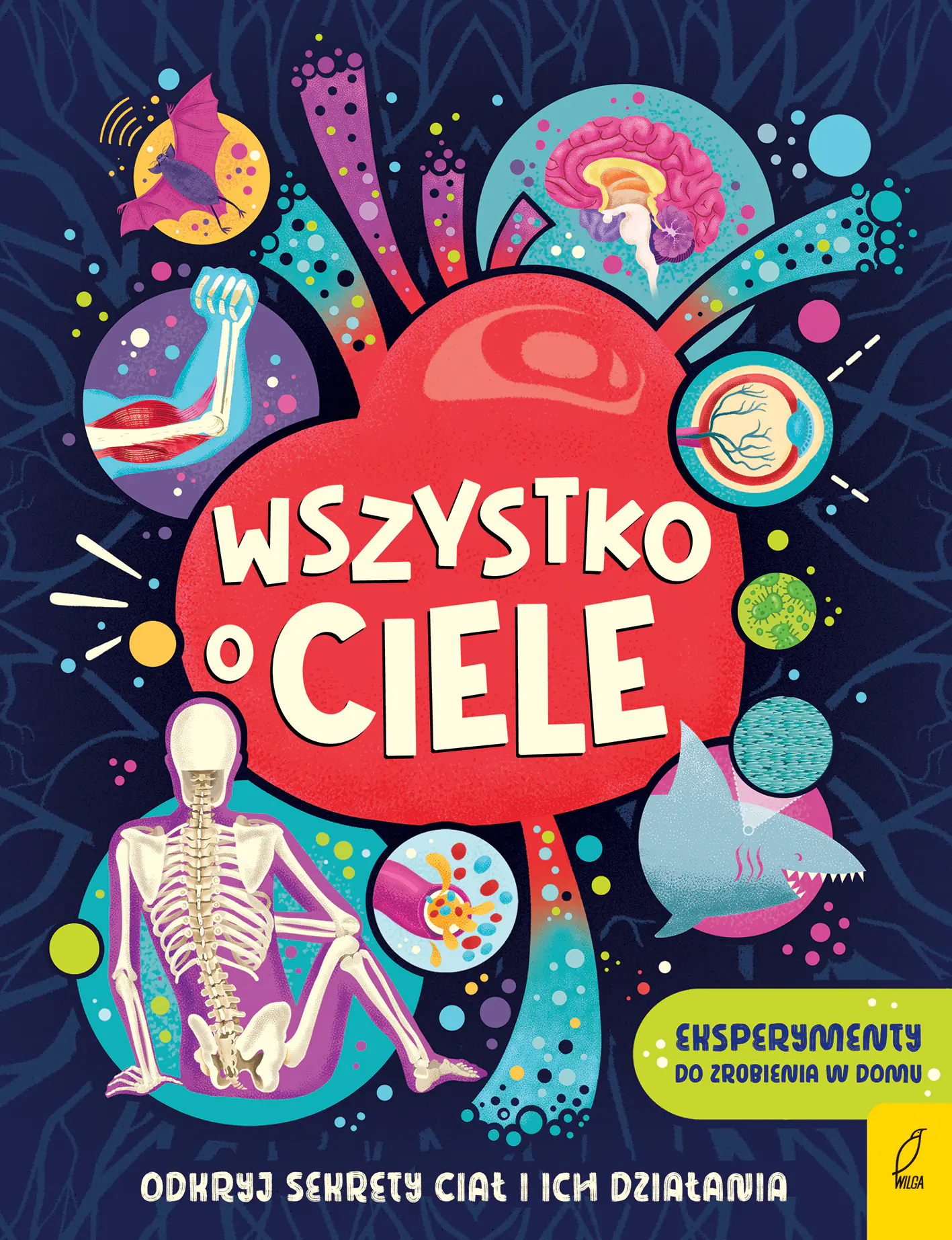 Książka - Wszystko o ciele