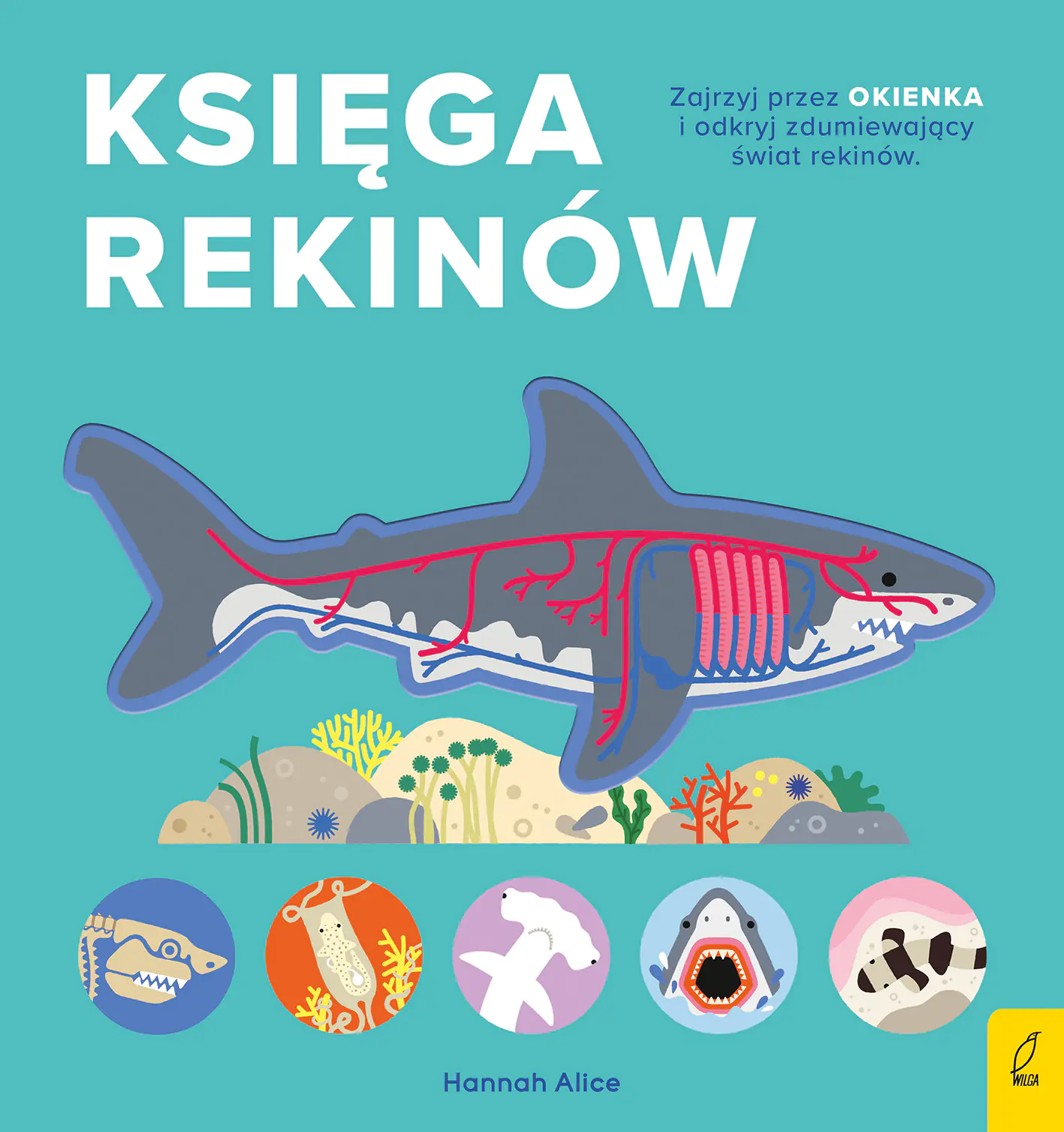Książka - Księga rekinów