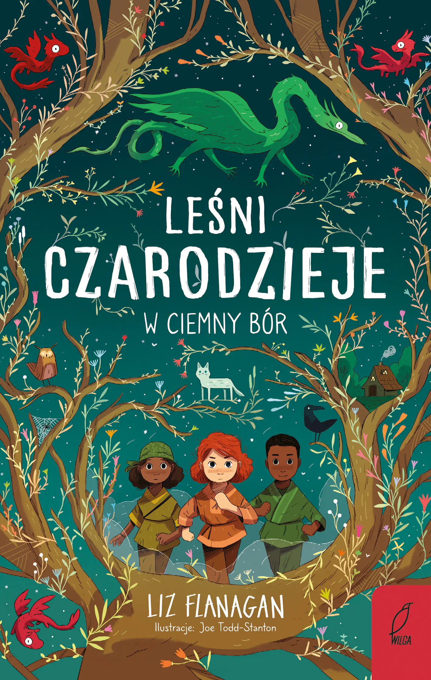 Książka - Leśni Czarodzieje. W ciemny bór