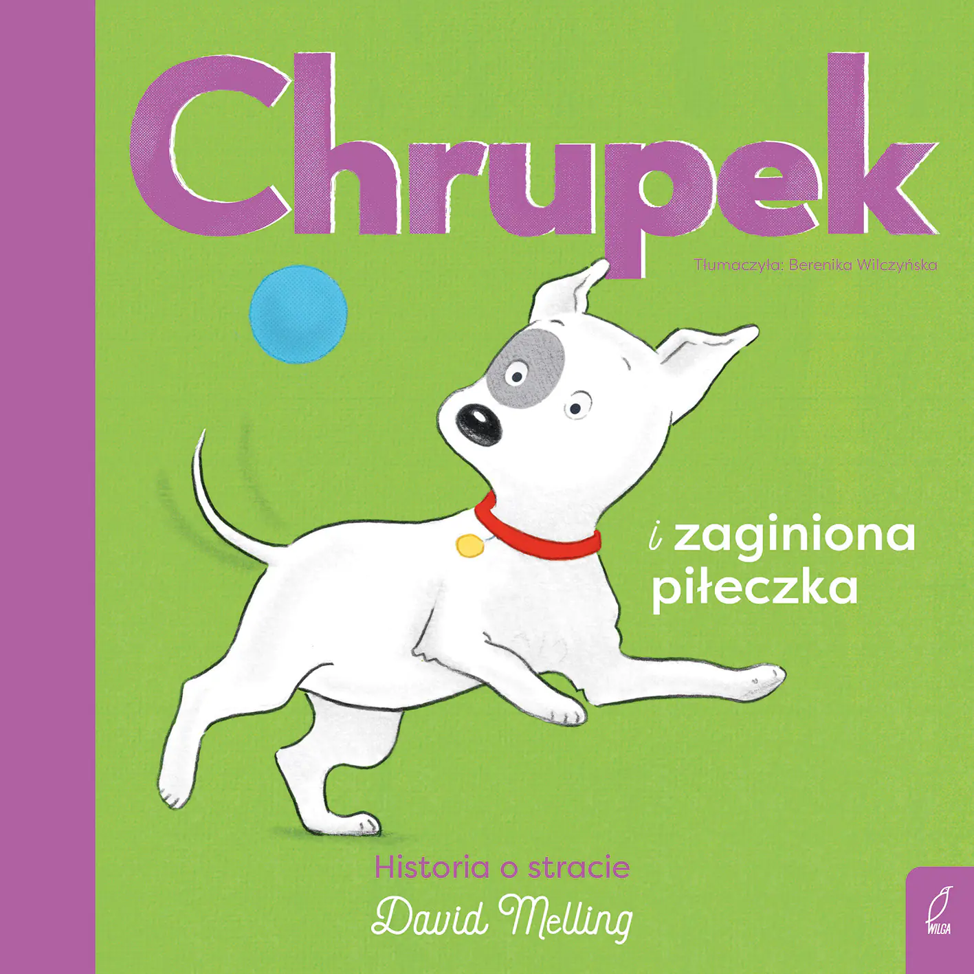 Książka - Chrupek i zaginiona piłeczka