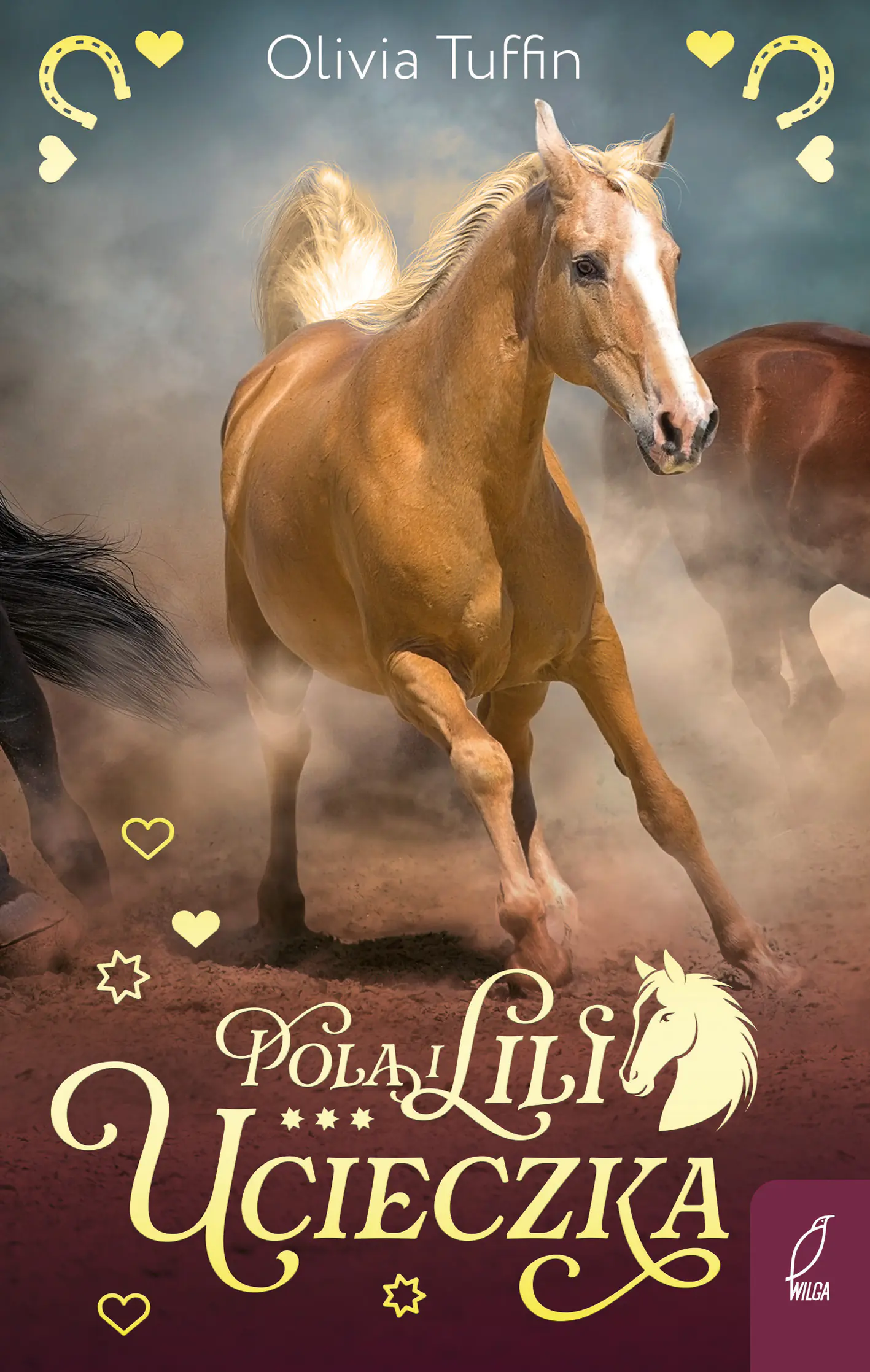 Książka - Ucieczka. Pola i Lili. Tom 1