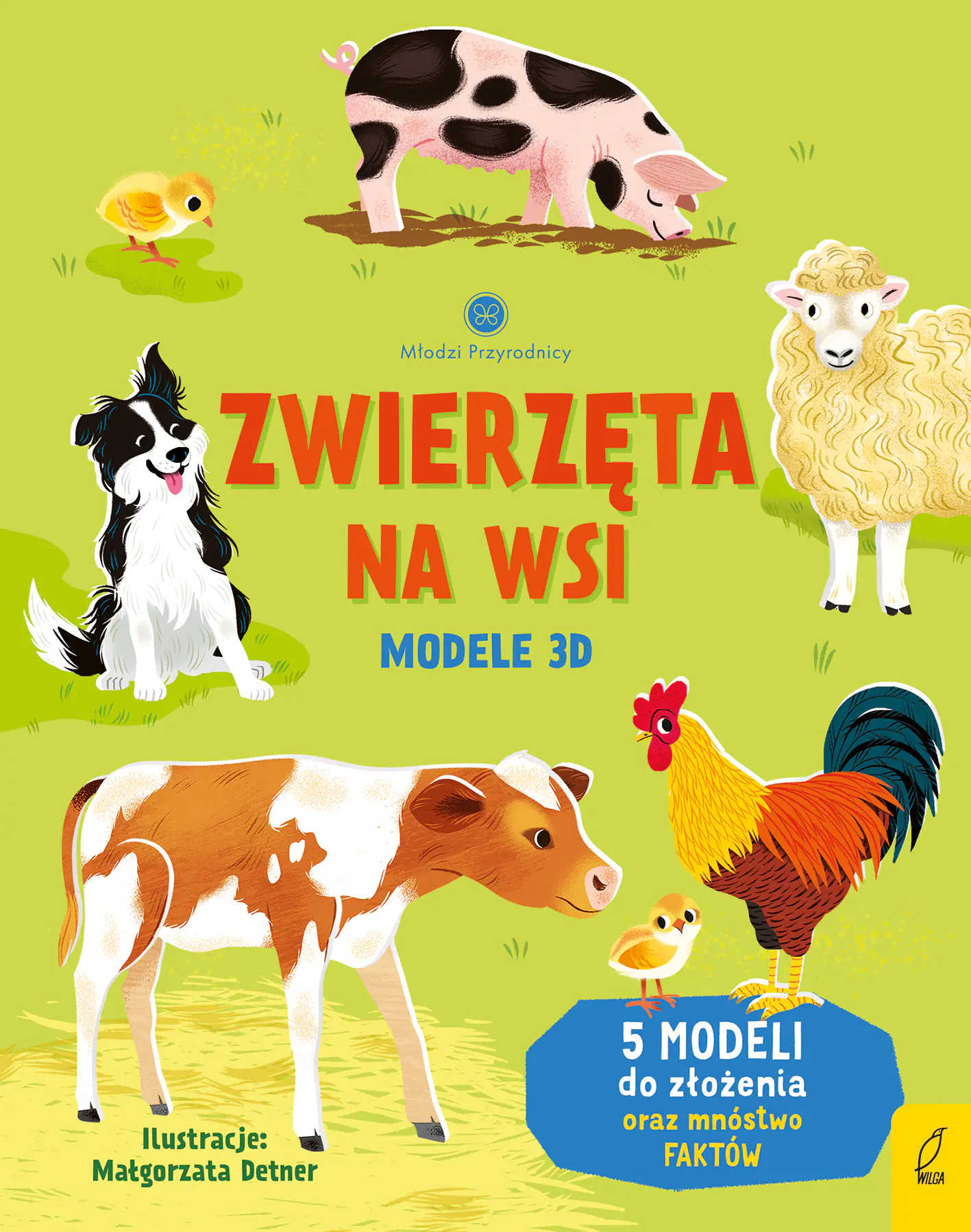 Książka - Zwierzęta na wsi.  Modele 3D. Młodzi przyrodnicy