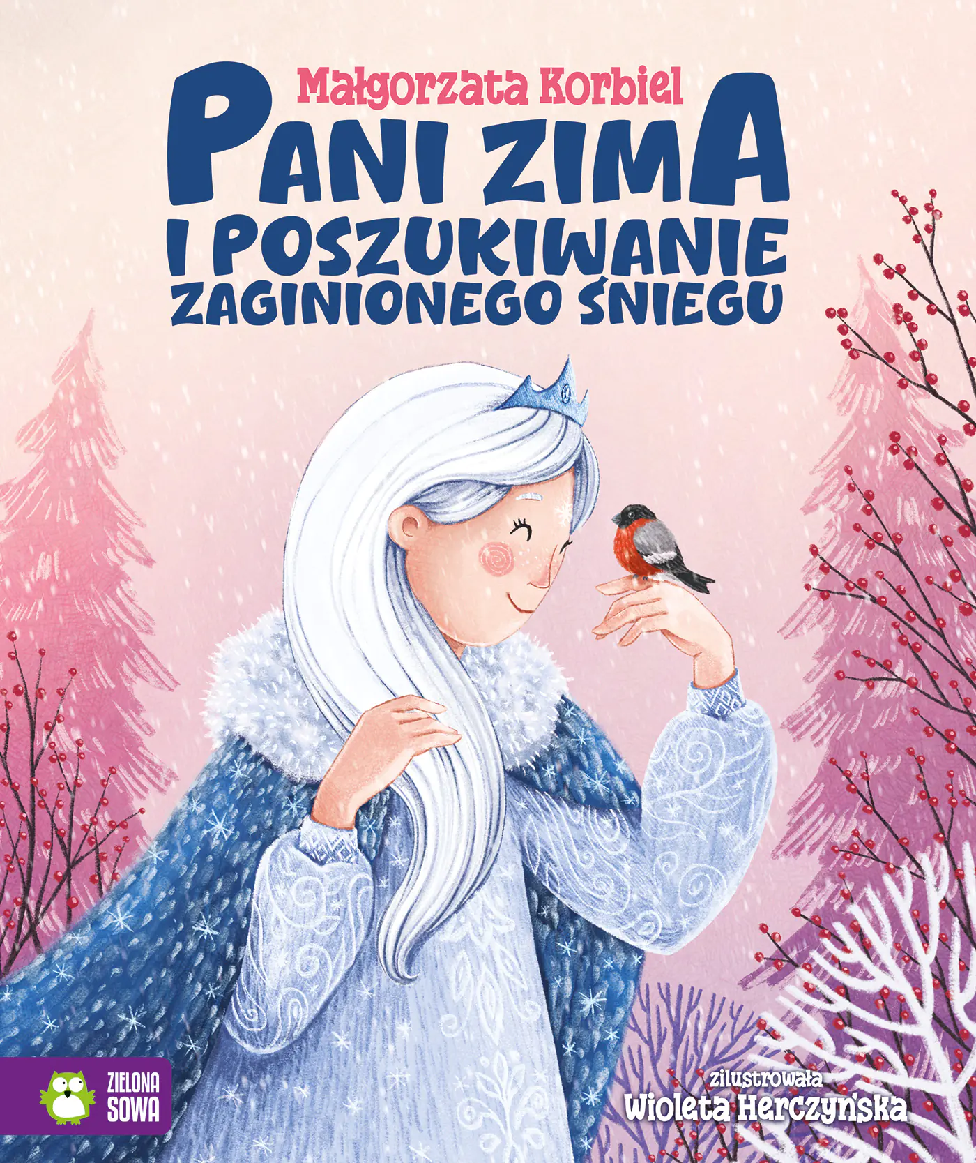 Książka - Pani zima i poszukiwanie zaginionego śniegu