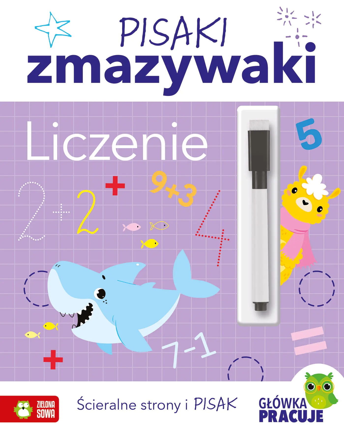 Książka - Pisaki zmazywaki. Liczenie