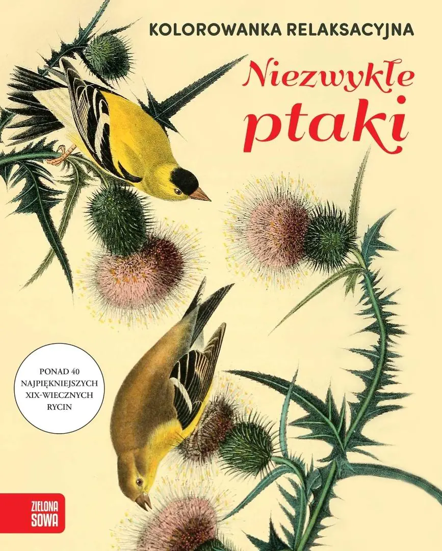 Książka - Kolorowanka relaksacyjna. Niezwykłe ptaki