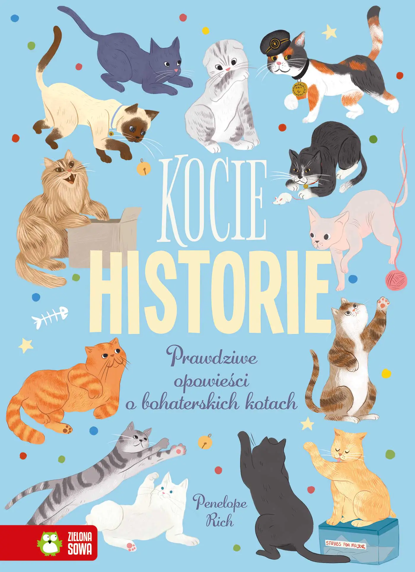 Książka - Kocie historie