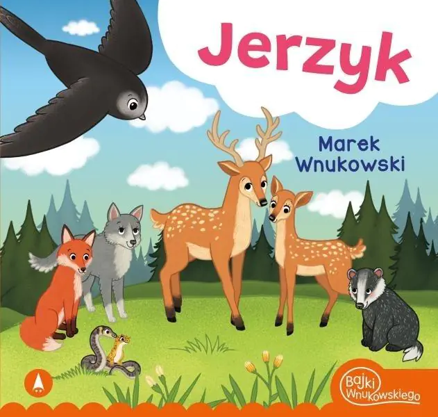 Książka - Jerzyk