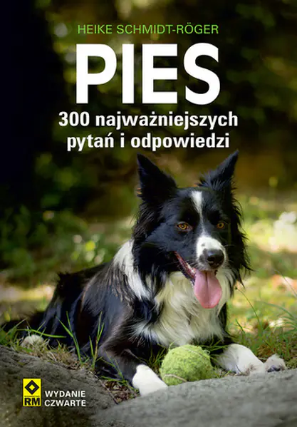Książka - Pies. 300 najważniejszych pytań i odpowiedzi