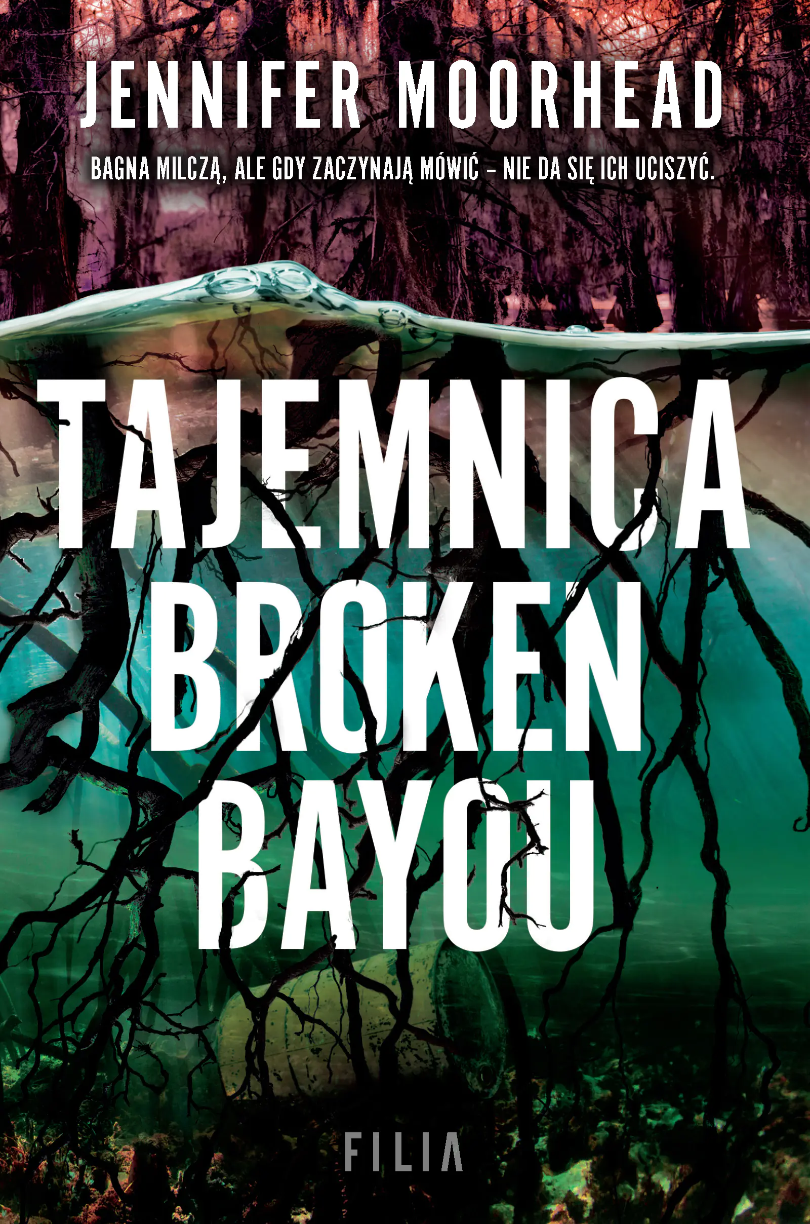 Książka - Tajemnica Broken Bayou