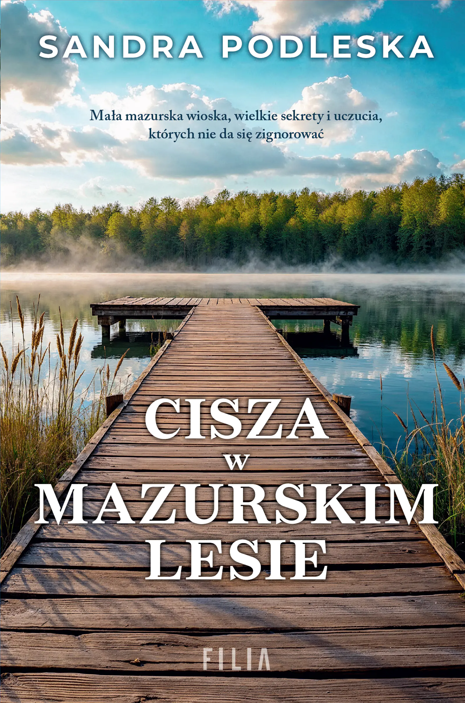 Książka - Cisza w mazurskim lesie