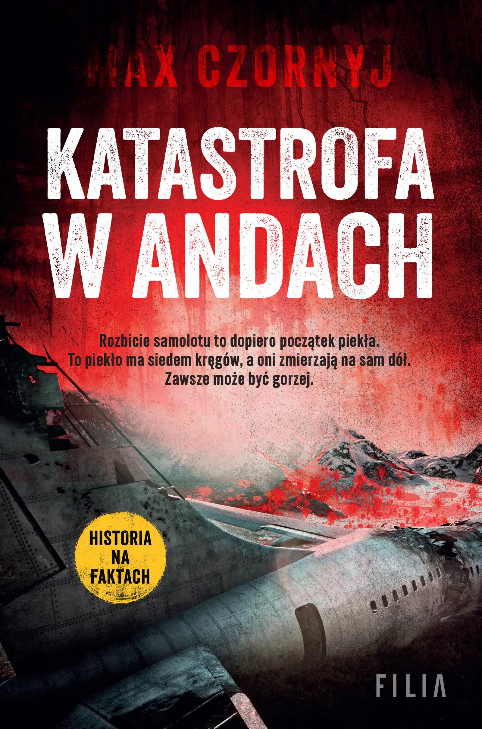 Książka - Katastrofa w Andach