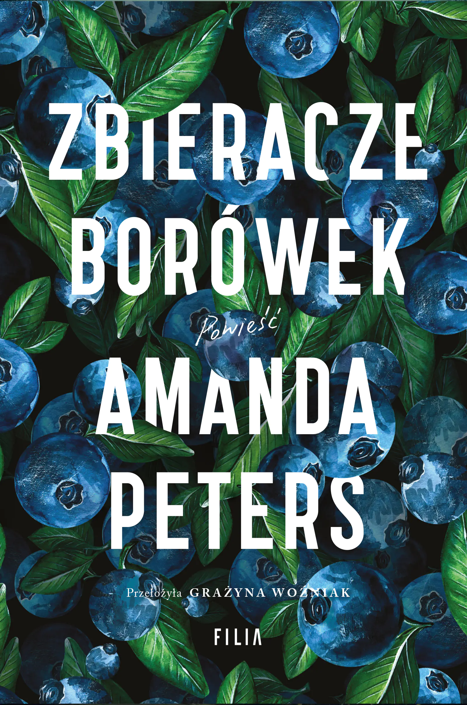 Książka - Zbieracze borówek