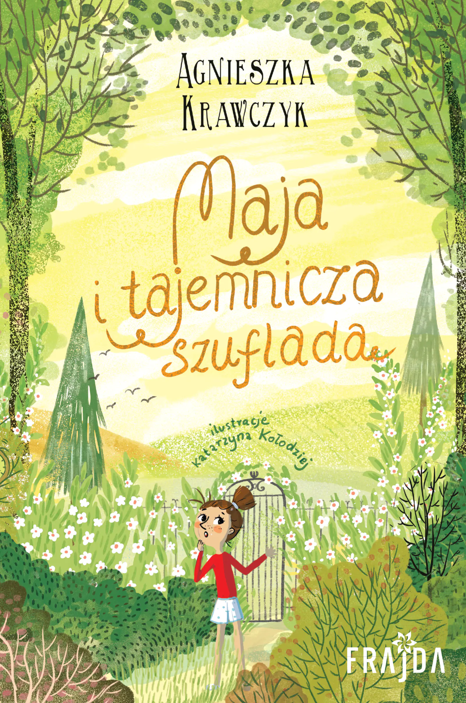 Książka - Maja i tajemnicza szuflada