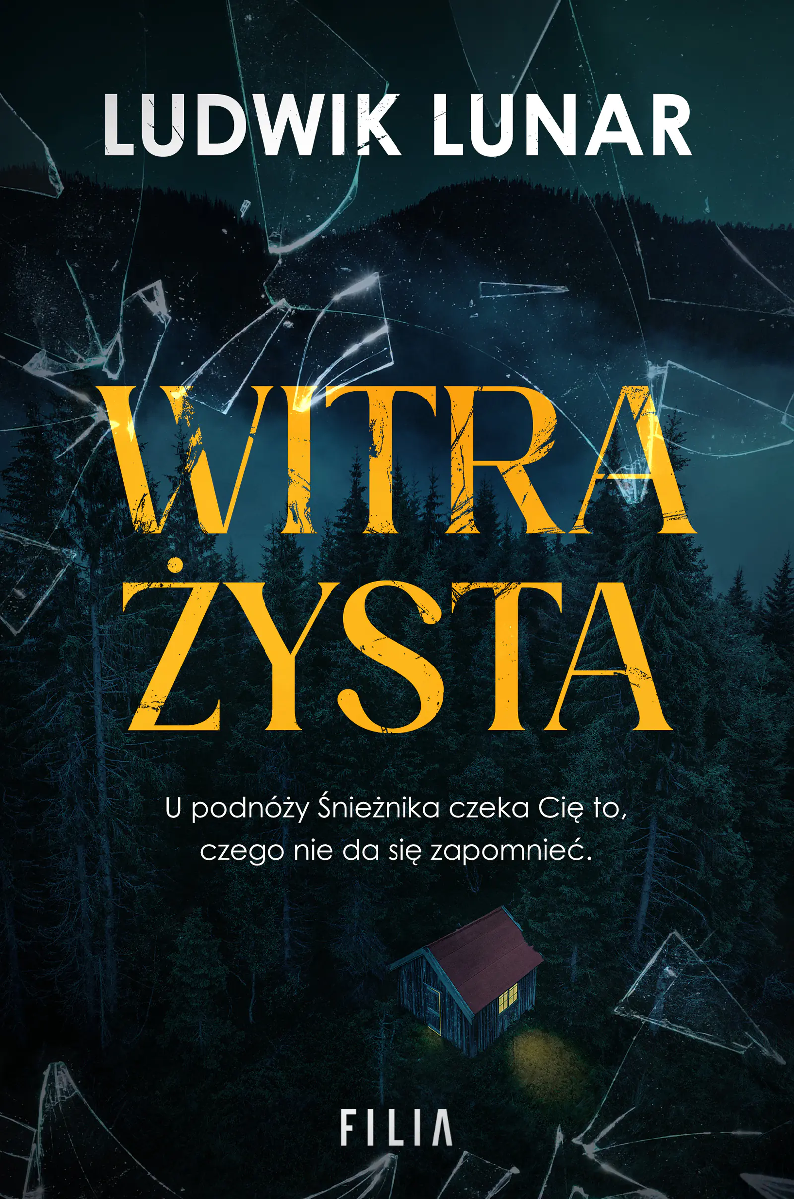 Książka - Witrażysta