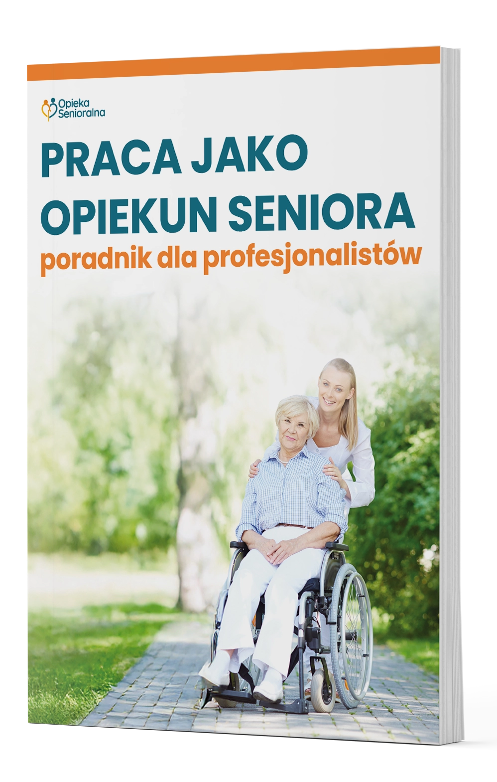 Książka - Praca jako opiekun seniora. Poradnik dla profesjonalistów