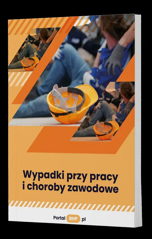Książka - Wypadki przy pracy i choroby zawodowe