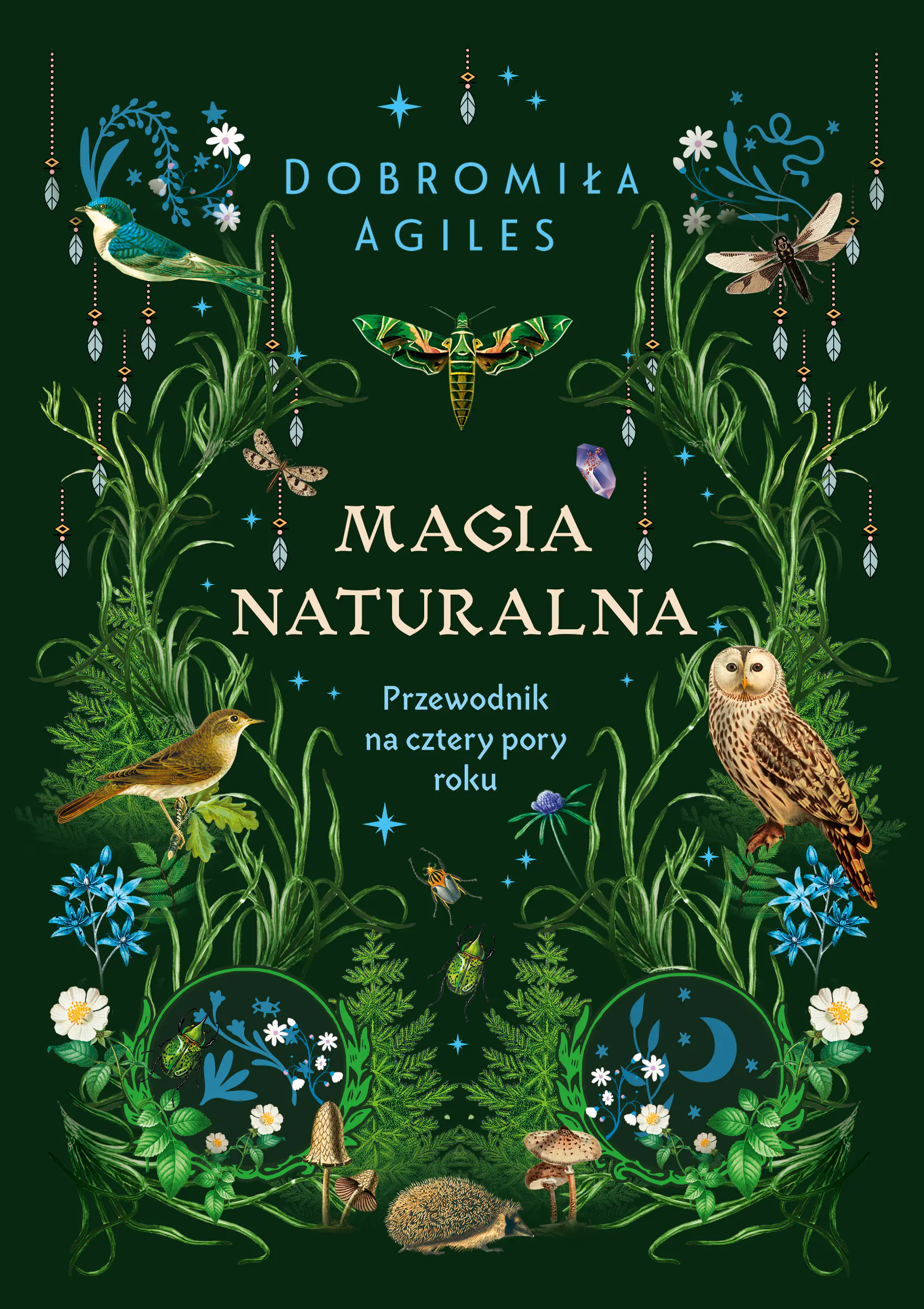 Książka - Magia naturalna. Przewodnik na cztery pory roku