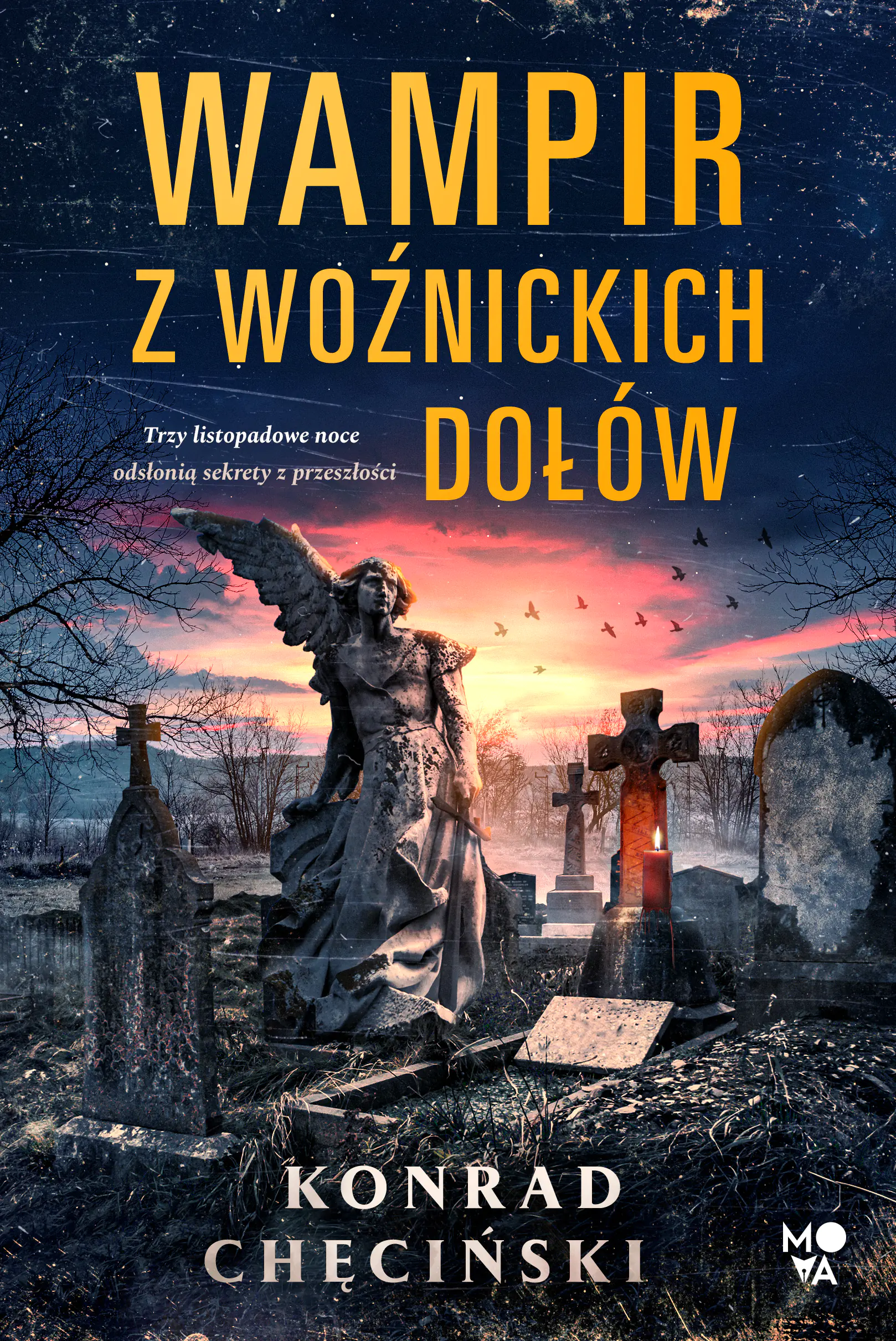 Książka - Wampir z Woźnickich Dołów