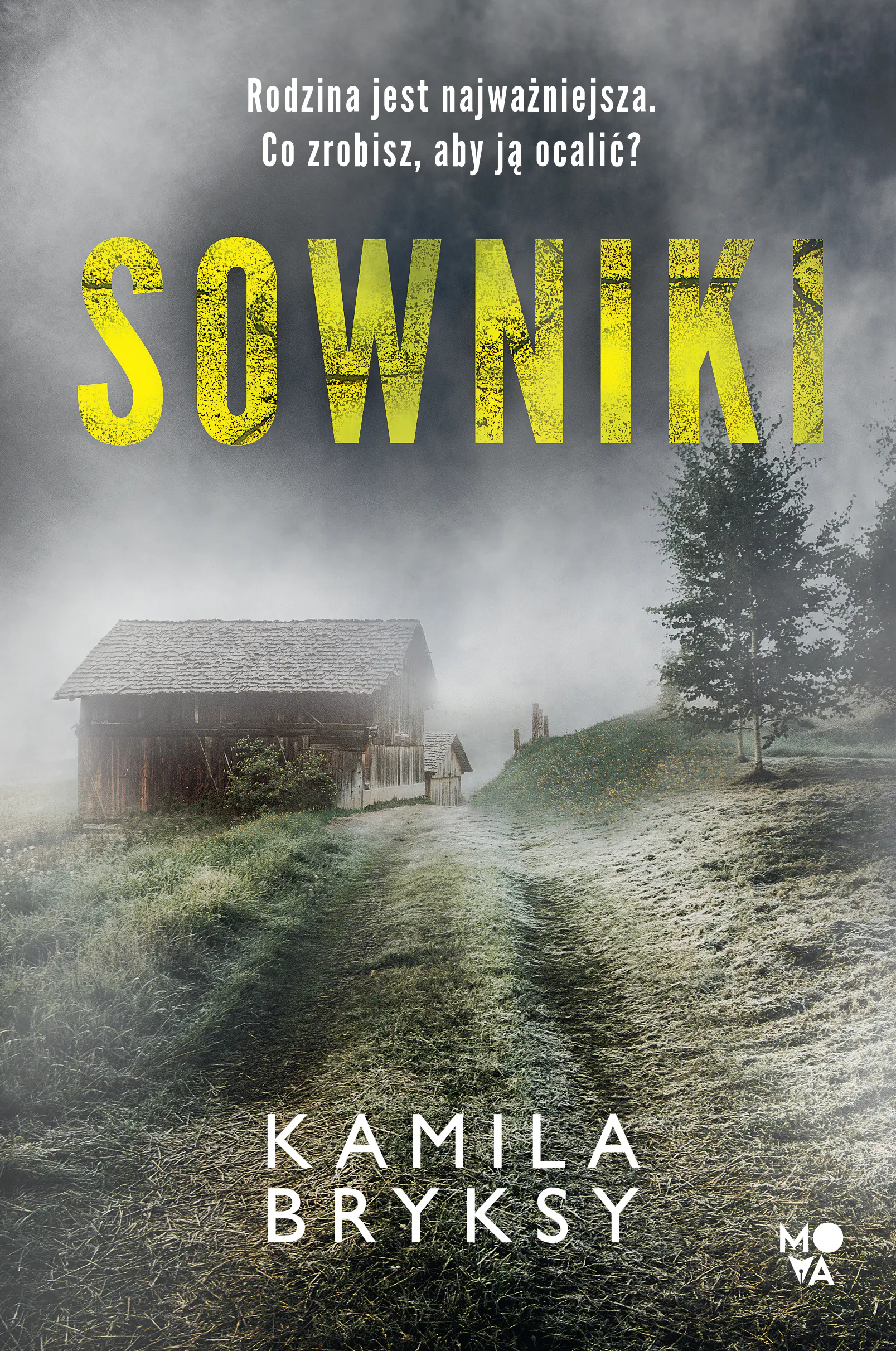 Książka - Sowniki