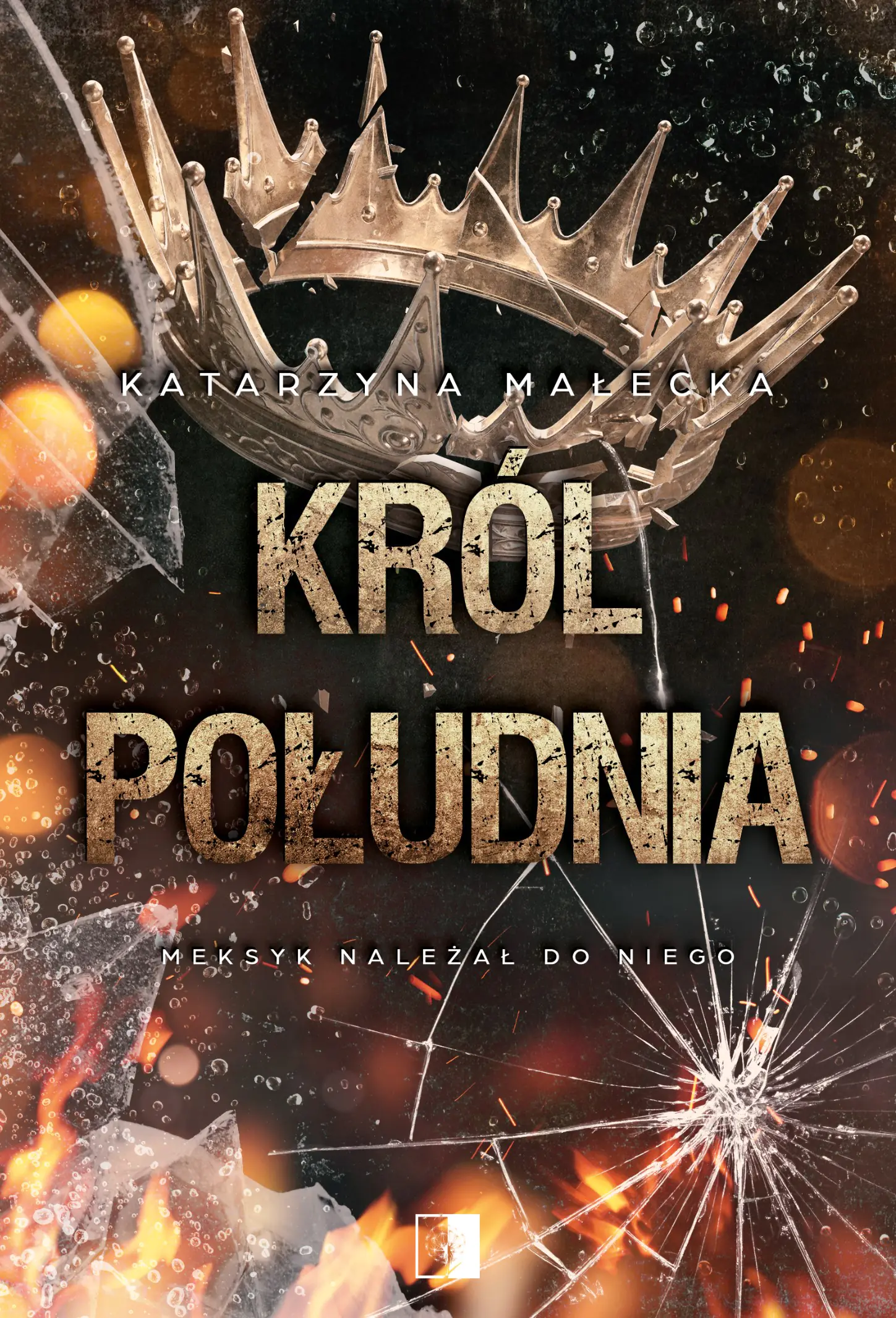Książka - Król południa