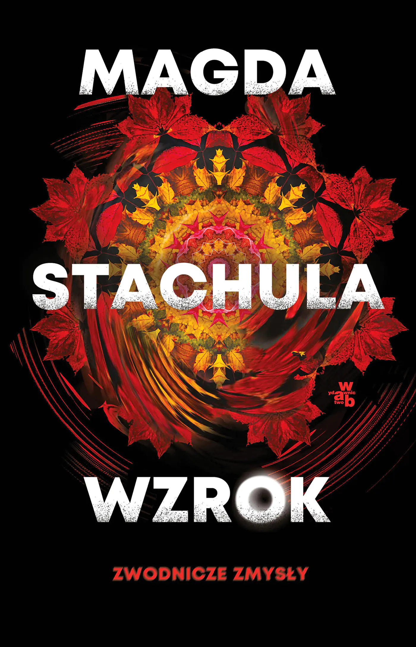 Książka - Wzrok. Seria Zwodnicze zmysły. Tom 1