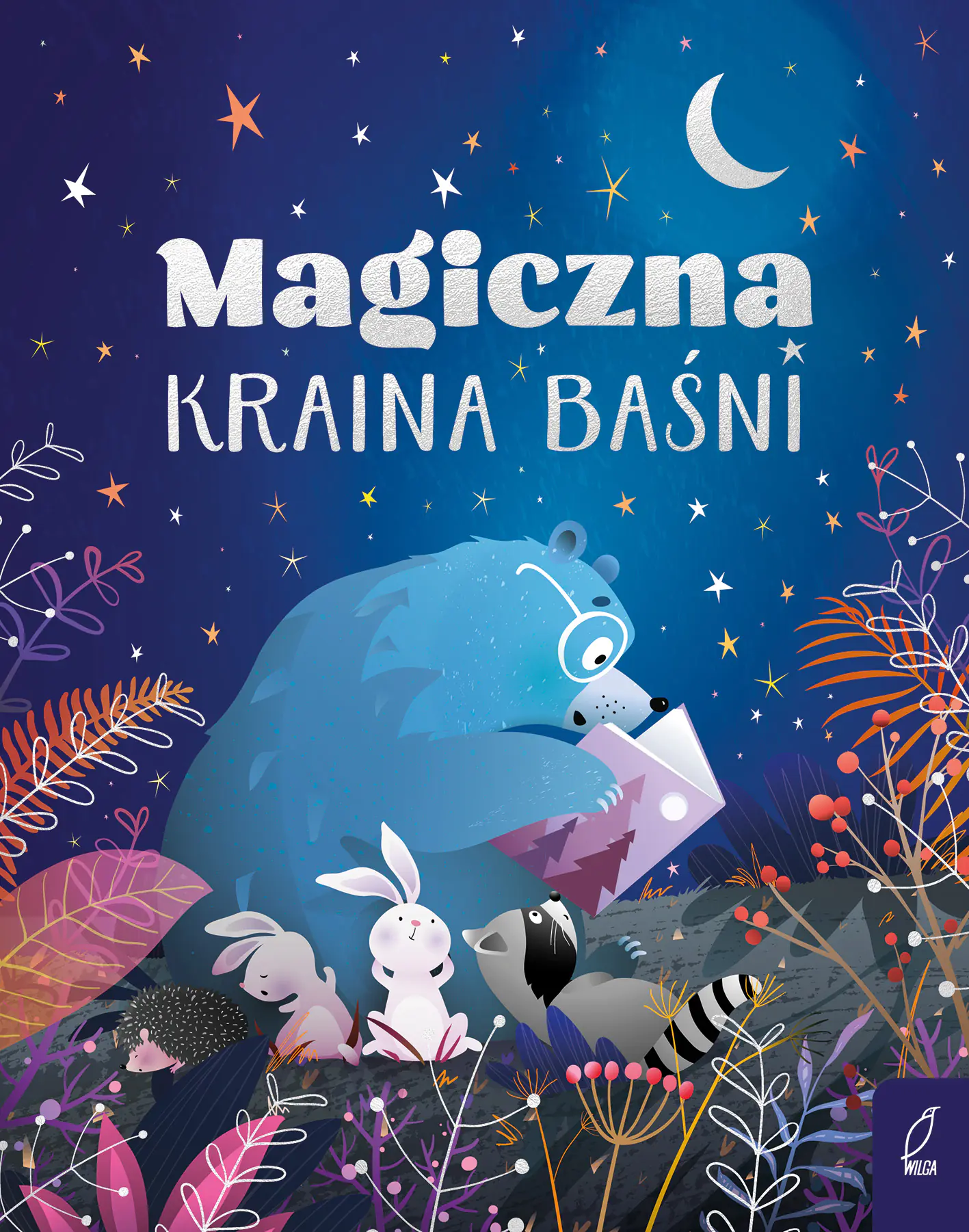 Książka - Magiczna kraina baśni