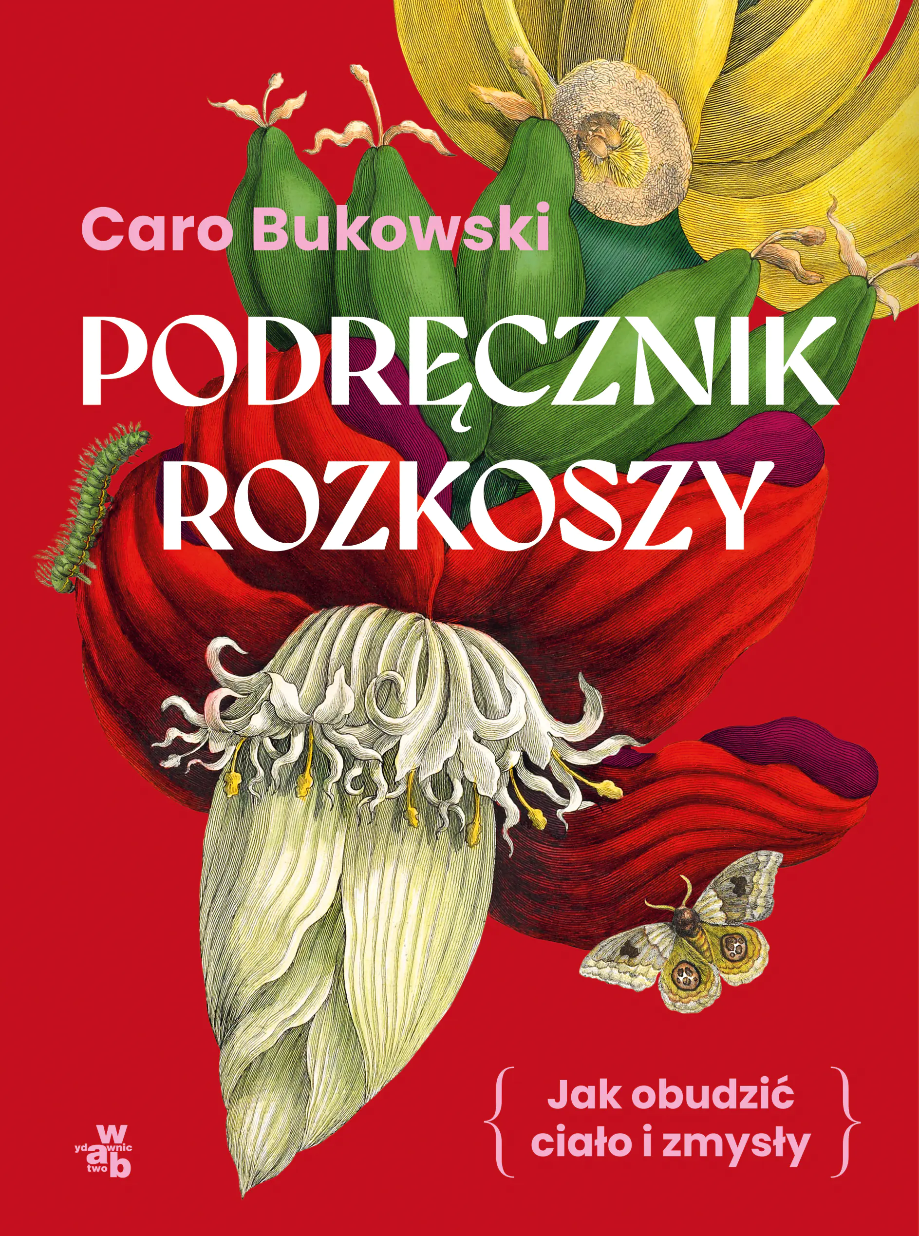 Książka - Podręcznik rozkoszy. Jak obudzić ciało i zmysły