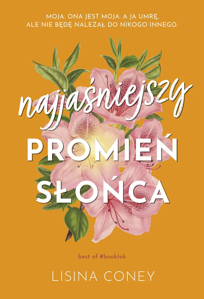 Książka - Najjaśniejszy promień słońca - Lisina Coney