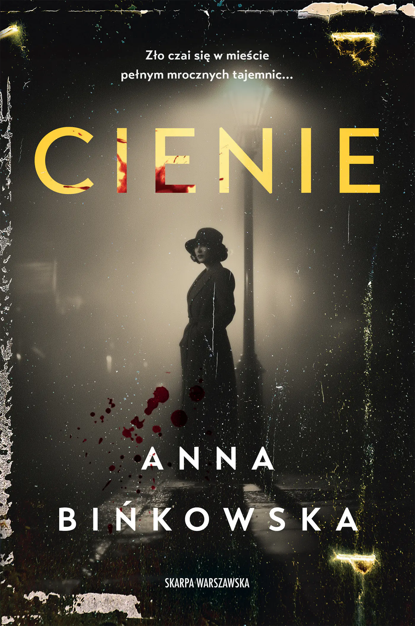 Książka - Cienie