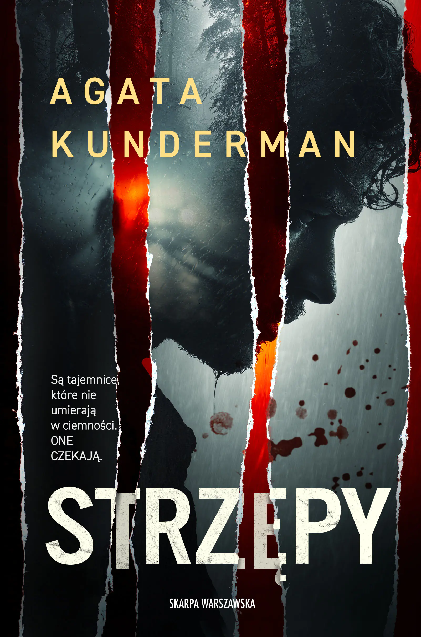 Książka - Strzępy