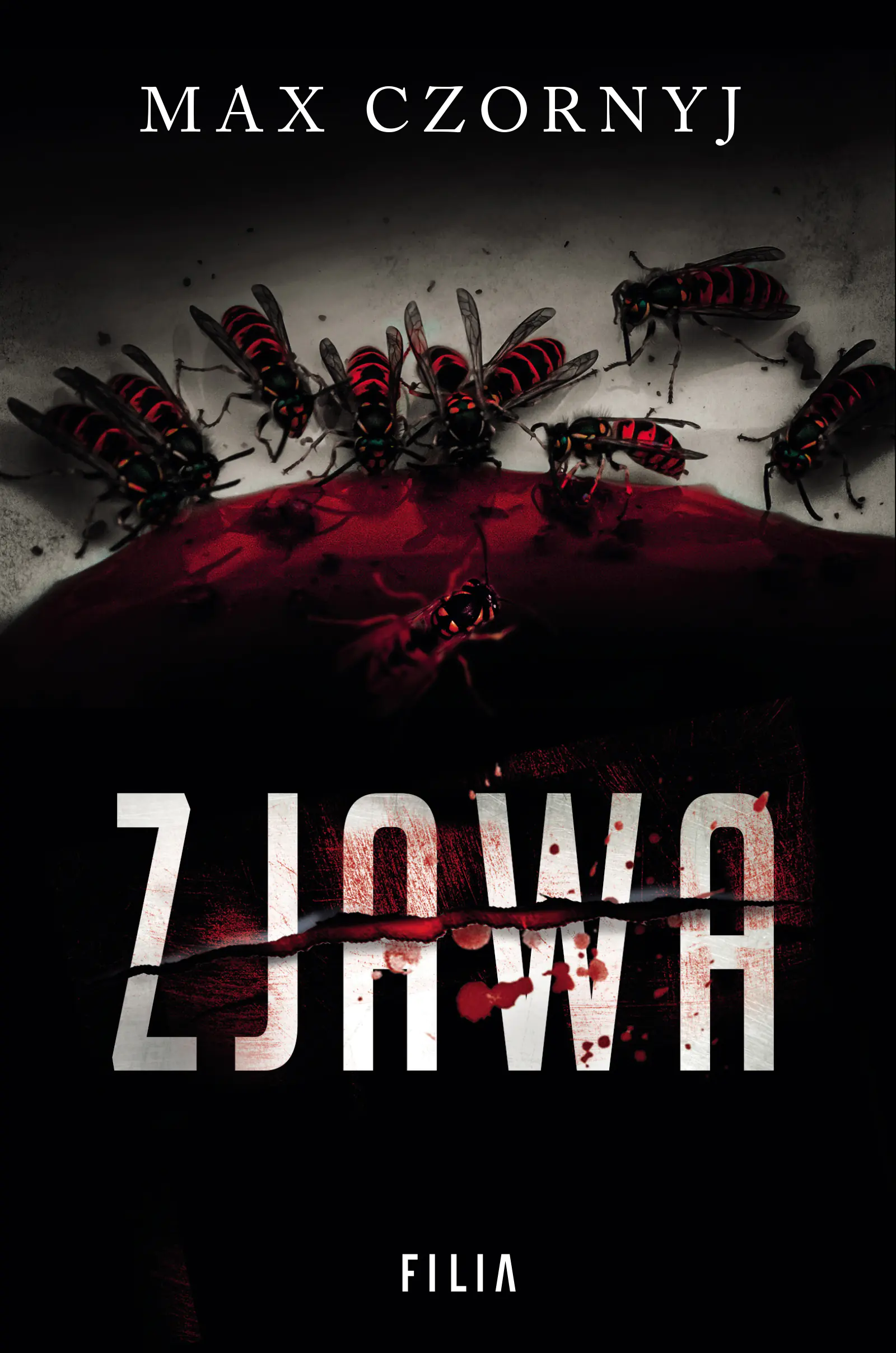 Książka - Zjawa