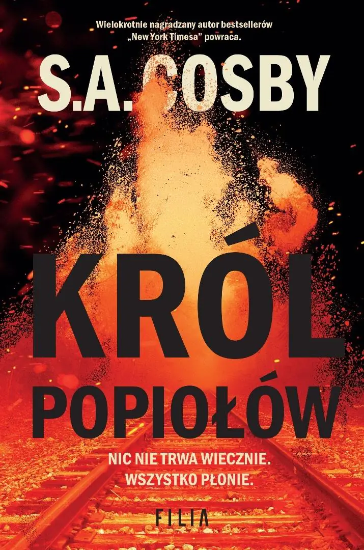 Książka - Król popiołów