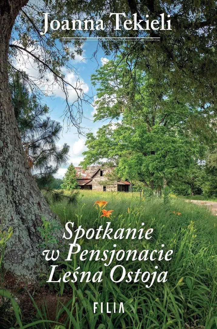 Książka - Spotkanie w Pensjonacie Leśna Ostoja
