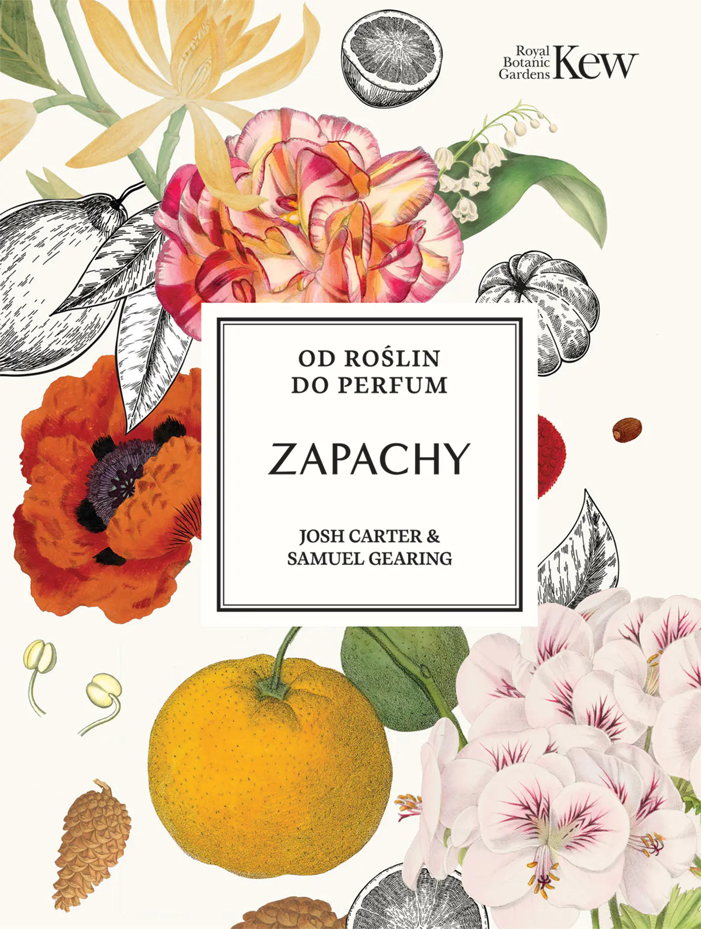 Książka - Zapachy. Od roślin do perfum