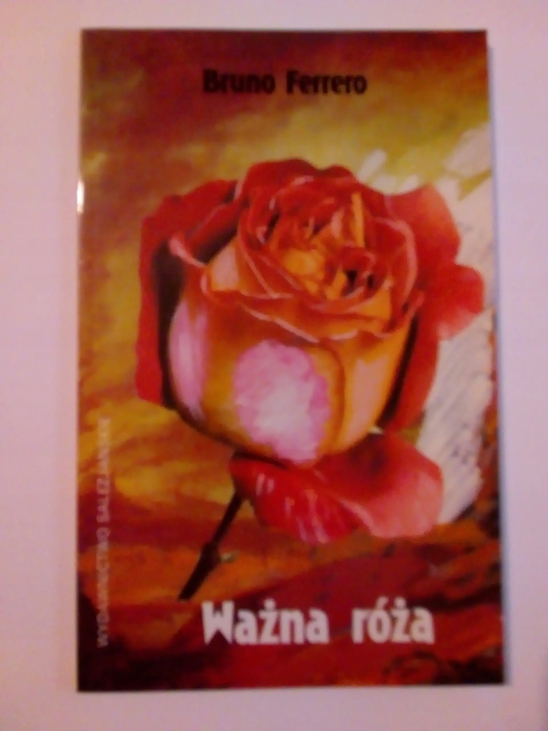 Książka - Ważna róża