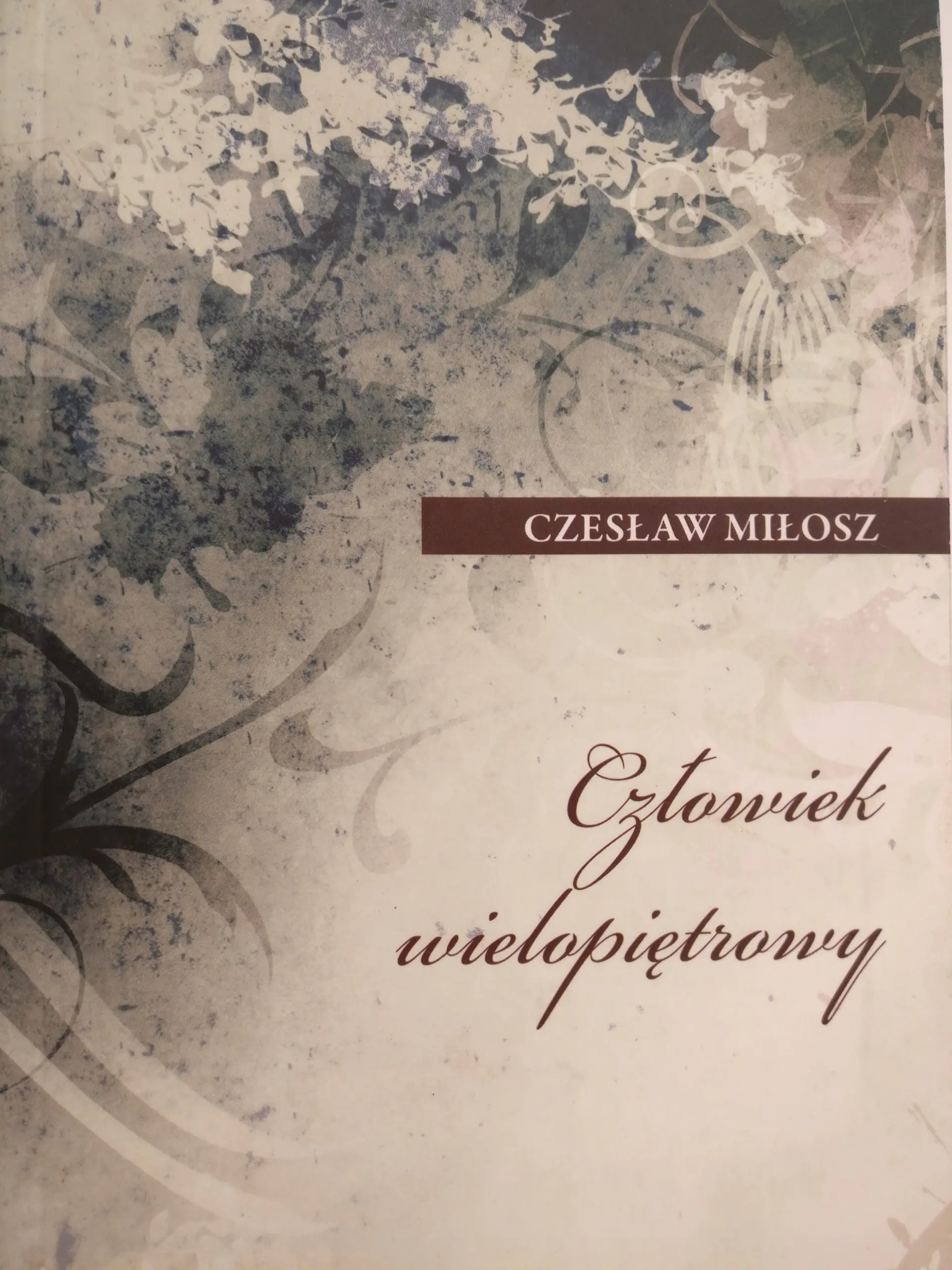 Książka - Człowiek wielopiętrowy